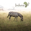 Induna Safaris (53625)