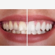 Polokwane Dentist - Dr M M Pula Inc (55571)