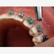 Polokwane Dentist - Dr M M Pula Inc (55573)