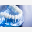 Aplus Dentistry (59613)