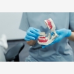 Orthodontist Pros (62342)