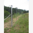 Allway Security Systems | Electric Fencing Specialists Durban (5867)