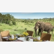 Luxury Lodge South Africa (13683)