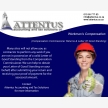 Attentus Accounting and Tax Solutions CC  (17322)