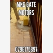 LYTTLETON GATE MOTOR REPAIRS, 0796175897 (17356)
