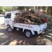 Rubble Removal in Polokwane (OneTh Times) (20272)