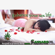 Heal Your Life with Cannabis  (22046)