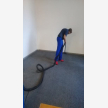 Bedfordview Carpet Cleaners (Amega Cleaning) (24958)