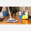 All Maids - Cleaning Services (27480)