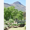 The Clarens Country House (32518)