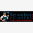 Ray and Sons Plumbers (PTY) LTD - Logo