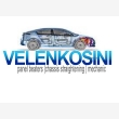 Velenkosini Auto Liners and Motor Repairs - Logo
