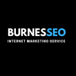 Burnesseo Internet Marketing Service - Logo