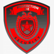Protection OE Security  - Logo