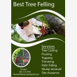 Best tree felling service - Logo