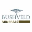 Bushveld Minerals - Logo