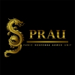 PRAU Security - Logo