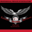 Ensure Secure Services (Pty) Ltd - Logo