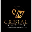 Cristal Motive  - Logo