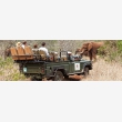 Thanda Safari Private Game Reserve - Logo