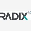 Radix Solutions - Logo
