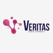 Veritas Digital Forensics - Logo