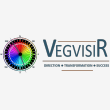 Vegvisir OD Learning and Development - Logo