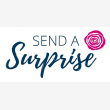 Send A Surprise - Logo