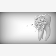 Orthodontist in Pretoria - Logo
