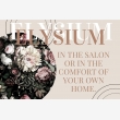 Elysium hair salon - Logo