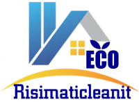 Risimaticleanit - Logo