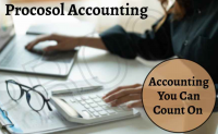Procosol Accounting - Logo