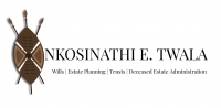 Nkosinathi E. Twala - Logo