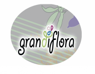Grandiflora (Pty) Ltd - Decoration Shop - Logo