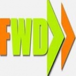Flawless Web Design - Logo