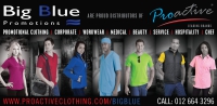 A1 Big Blue Promotions - Logo