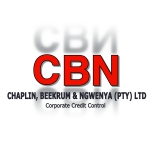 CBN Corp | Corporate Credit Control  - Logo