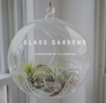 Glass Gardens - Logo