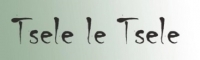 Tsele le Tsele Tech - Logo