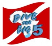 Dive the Big 5 - Logo