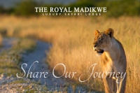 Safari Lodge South Africa | The Royal Madikwe - Logo