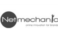 NetMechanic - Logo