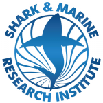 Shark Cage Dive - Logo