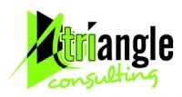 Triangle Consulting - Logo