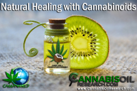 Heal Your Life with Cannabis  - Logo