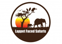 Lappet Faced Safaris - Logo