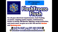 Flash Freeze Flush - Logo