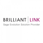 Brilliant Link (Pty) Ltd - Logo