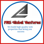 FNS Global Ventures - Logo