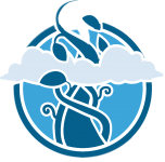 Rankmysite - Logo